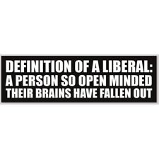 Definition Of A Liberal So Open Minded Brains Fallen Out 3x10 Bumper Sticker picture