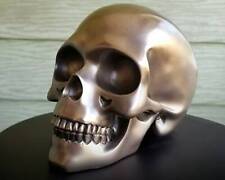 Bronze Skull, Modern Decor, Human Skull, Oddities, Curiosities, Gothic Decor picture