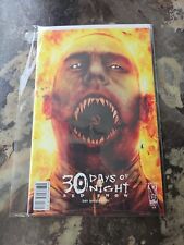 30 Days of Night Red Snow #3 NM 2007 IDW Horror Movie Series Comic Book picture