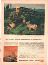 Weyerhaeuser  Timber Company 1956 Vintage Print  Ad 8inx11in Aldo Leopold Fawn picture