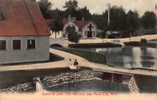Tinted Postcard Scene at the State Fish Hatchery near Reed City, Michigan~118437 picture
