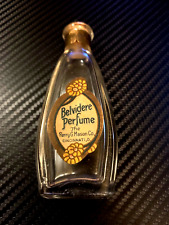 Lovely   Antique perfume bottle.  Belvidere by Perry G. Mason & Co.  1920s. picture