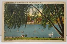 Hagerstown Maryland Domesticated Wild Life abounds in City Park 1942 Postcard D4 picture
