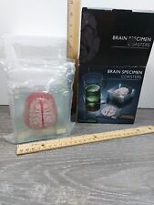 Anatomic Brain Specimen Coasters Set of 10 pieces with Original Box picture