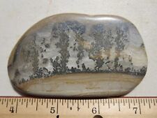 546  FACE POLISHED COTHAM MARBLE, FOSSIL STROMATOLITES.  BRISTOL, ENGLAND picture