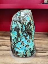 15900gr Rare strong energy and powerful blue black petrified wood polished picture