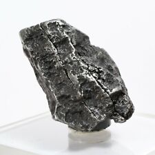 55.78 Gram Agoudal Meteorite Iron Crystal Imilchil IIAB Morocco Hexahedrite B28 picture