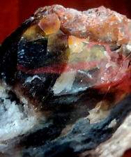 Volcanic Petrified Wood Limb Cast  Display Or Aquarium Décor Vivid Colors  picture