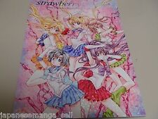 Doujinshi Strawberry candle Sailor Moon ARINA TANEMURA illustration (B5 36pages) picture