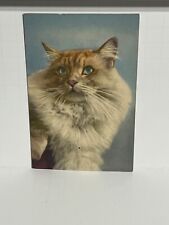 Postcard Portrait of Cat A44 picture