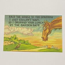Said The Horse To The Sparrow I Just Couldn't Wait.. Cartoon Postcard picture
