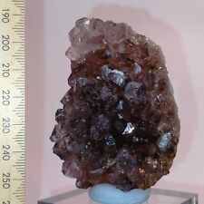 Dark Purple Amethyst Quartz cluster raw mineral specimen 624ct Australian Stock picture
