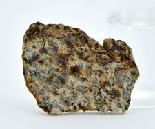 1.17g Erg Chech 002 Ungrouped Achondrite Meteorite Slice - TOP METEORITE picture