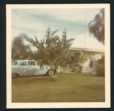 Ugly Suburban House Car Tree Green Grass Yard Photo Snapshot 1960s Americana picture