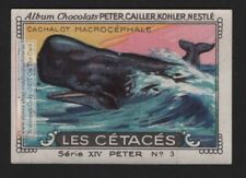 Sperm Whale Toothed Marine Mammal 1930s Ad Trade Stamp picture