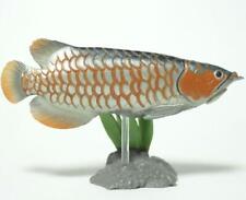 Yujin Primary Color Freshwater Fish Illustrated Book I Secret Asian Arowana Prod picture