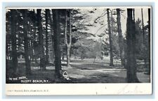 1906 Vien In The Park Boy And Little Girl Olcott Beach New York NY Postcard picture