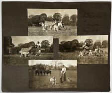 Four Antique Vintage 1915 Photo Collage of 