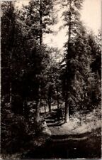 RPPC Vintage Early 1900's Photograph Postcard Ruidoso New Mexico Unposted picture