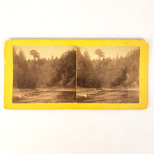 Inlet Hamilton New York Stereoview c1870 Fourth Lake Fulton Chain River Card K27 picture