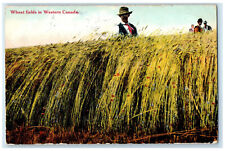1912 Farmer in Wheat Fields in Western Warner Alberta Canada Postcard picture