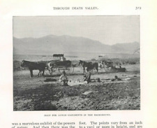 1893 account DEATH VALLEY California Funeral Mountain Amargosa Valley Owens Lake picture