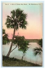 1931 A Bit of Tampa Bay Shore St. Petersburg Florida FL Handcolored Postcard picture