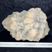 10” Huge Unopened GEODE 19Lb Geodized Fossil Quartz Crystal Chalcedony Lapidary picture