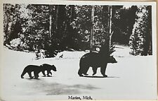 RPPC Marion Michigan Bear with Cubs in Winter Real Photo Postcard c1950 picture