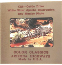 3 Slides 35mm Arizona Highways Cattle Range Drive White River Gertrudis 1954-'65 picture