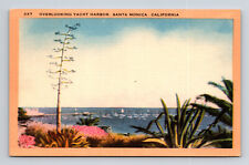 Linen Postcard Overlooking Yacht Club Harbor Boats Santa Monica California CA picture