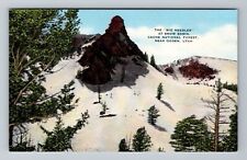 Ogden UT-Utah, Big Needles At Snow Basin, National Forest, Vintage Postcard picture