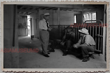 50s HUNTLEY MCHENRY KANE ILLINOIS WORKER MILK COW VINTAGE USA Photograph 12628 picture