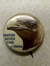 1896 Cawston Ostrich Farm California Pinback picture