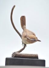 Carolina Wen Bird life size Wood Scuplture/Carving picture