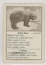 1903 Cincinnati Games Wild Animals Polar Bear 0w6 picture