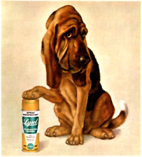 Vintage Print Ad 1969 Lysol Household Odors Germs Bloodhound Dog Illustration picture