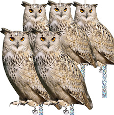 5 Pack Owl to Keep Birds Away Decoy Scare Fake Owl Reflective Hanging Repellent  picture