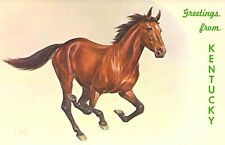1968 Greetings from Kentucky HORSE RUNNING Artist Signed postcard C54 picture