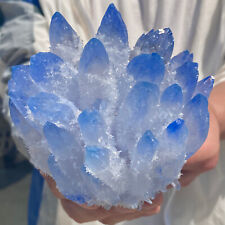 1.74LB  Blue Phantom quartz crystal clusters of newly discovered mineral samples picture