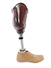 Otto Bock Titan 4R52 Below the Knee Prosthetic Right Leg/Foot picture
