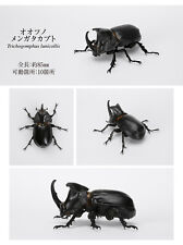 The Diversity of Life on Earth Beetle 6 Bandai Gashapon Trichogomphus Lunicollis picture