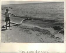 1966 Press Photo Lad points to foul-smelling algae in polluted Wisconsin beach picture