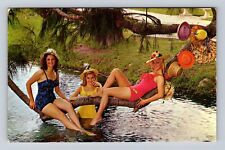Weeki Wachee FL-Florida, Weeki Wachee Mermaids, Antique, Vintage Postcard picture