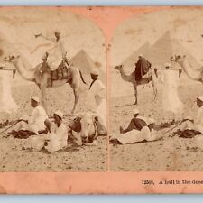1898 Cairo, Egypt Giza Great Pyramid Camel Arab Stereoview Real Photo V29 picture