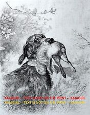 Dog Gordon Setter Retrieving Rabbit Hare During Hunt, Large 1880s Antique Print picture