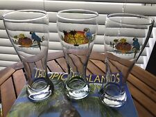Jimmy Buffett's Margaritaville Orlando (3) Pilsner Beer Glass 8 in. Tall VGC picture