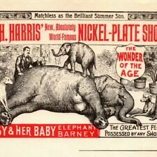 Very Scarce W.H. Harris Nickel-Plate Shows Circus Letterhead c1895-1897 Gypsy picture