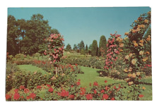 A Section Of Famed Chocolate Town Rose Garden Hershey Pennsylvania Postcard picture