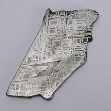110g Muonionalusta meteorite slice R2004 picture